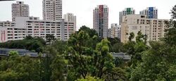 Blk 216 Jurong East Street 21 (Jurong East), HDB Executive #638320671